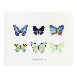 Butterfly Collection Print