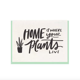 Home Plants, Dahlia Press