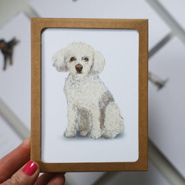Custom Pet Portraits With Fable & Sage