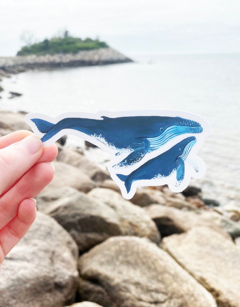 Whale and Calf Sticker