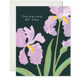 Iris Thoughts, Karen Schipper