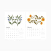 Botanist 2026 Desk Calendar