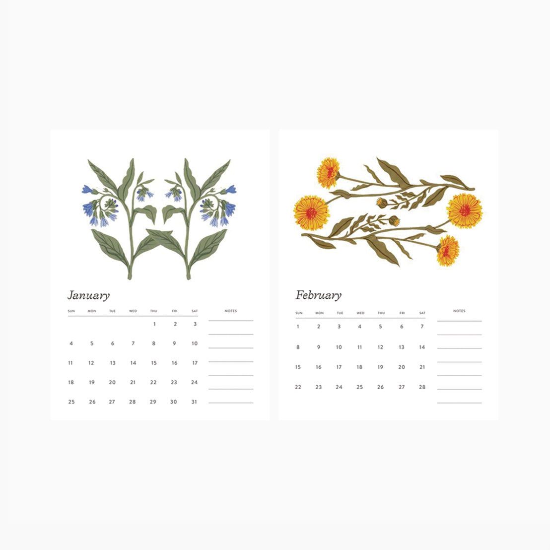 Botanist 2026 Desk Calendar