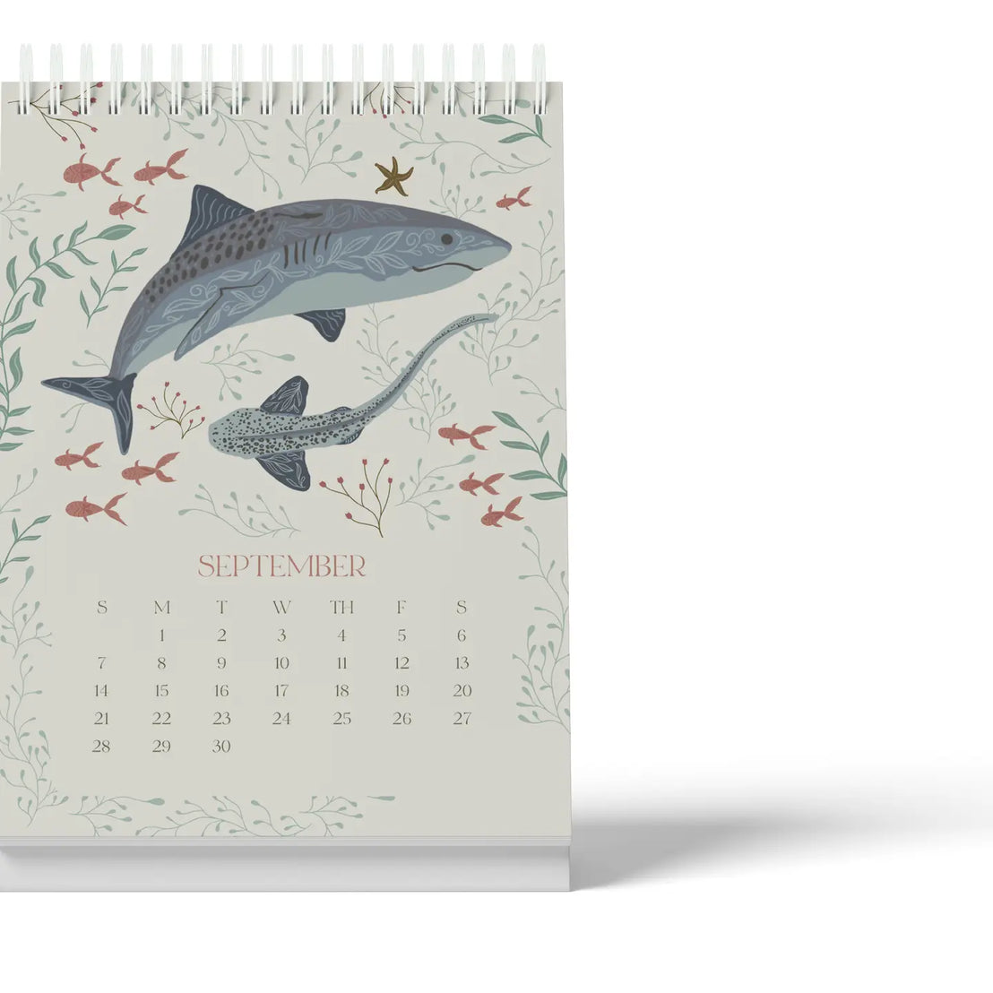 Sealife 2025 Desk Calendar