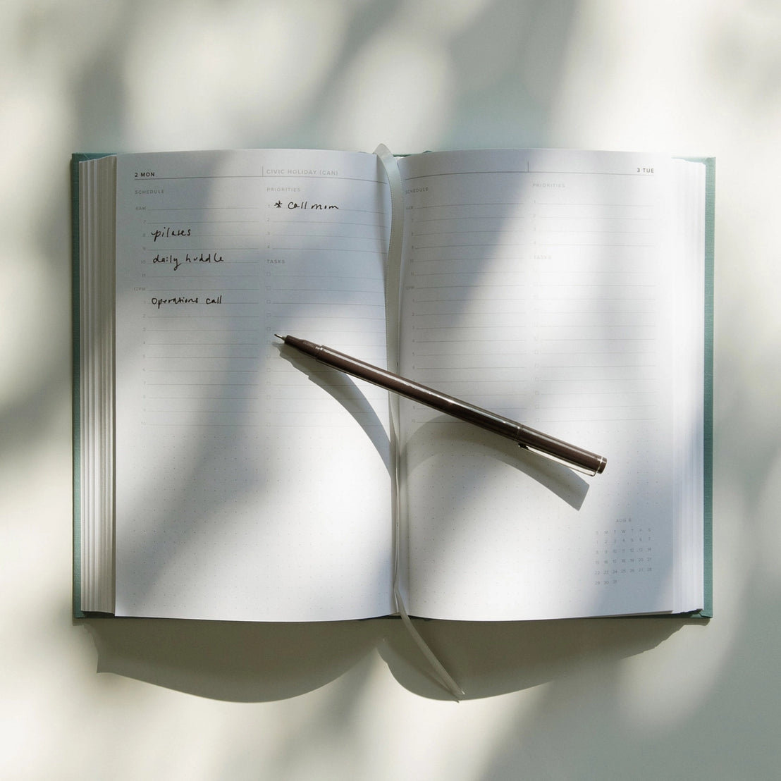 Appointed 2027 Daily Planner
