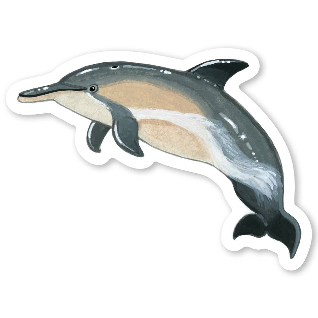 Dolphin Sticker