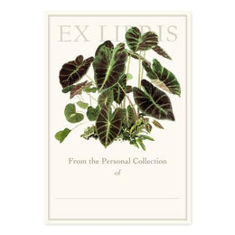 Colocasia Illustris Bookplates