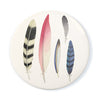 files/44480-feather-collection_MGN-WEBA_large_23424692-1b76-414a-b375-23801fbfd75e.jpg