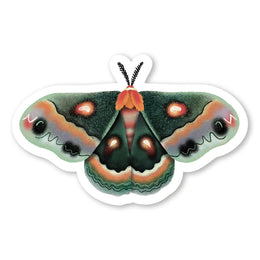 Moth Sticker