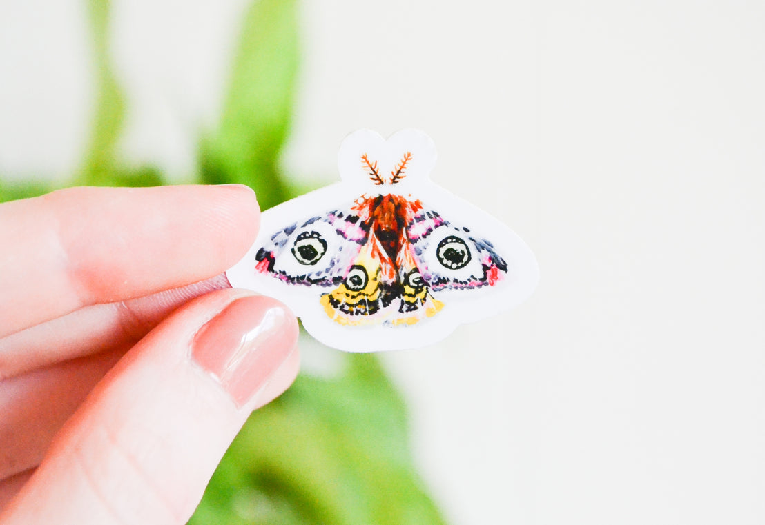 Tiny Moth Sticker