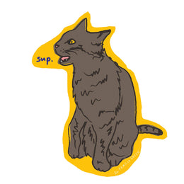 Sup Cat Sticker