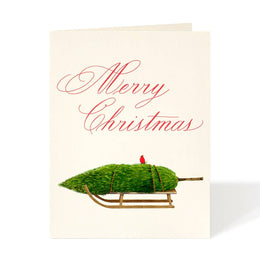 Nordic Sled, Felix Doolittle