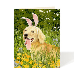 Easter Puppy, Felix Doolittle