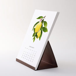 2026 Fresh Fruit Desk Calendar