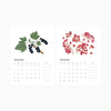 Botanist 2026 Desk Calendar