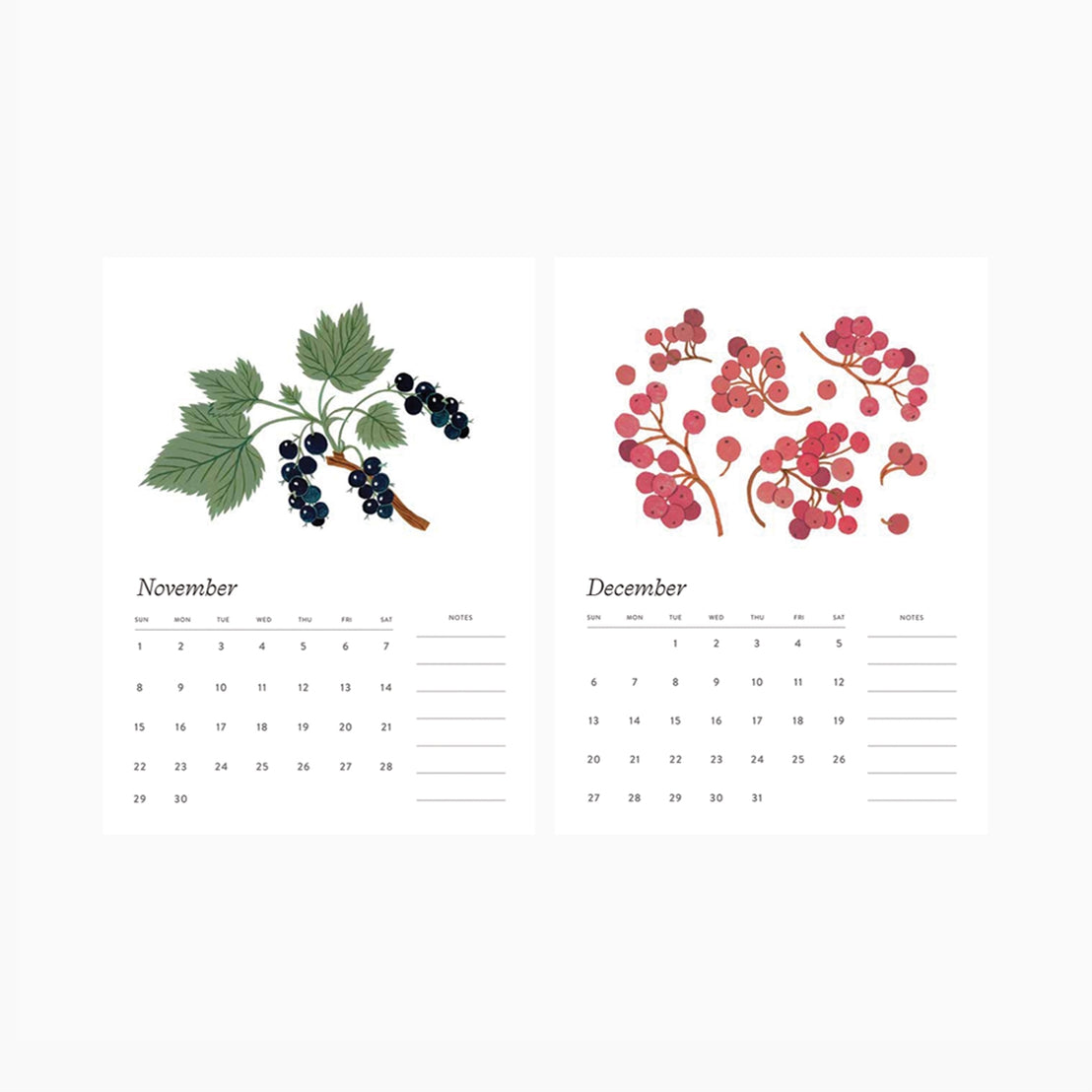 Botanist 2026 Desk Calendar