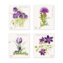 Violettes Decorative Labels
