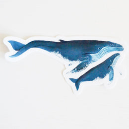 Whale and Calf Sticker