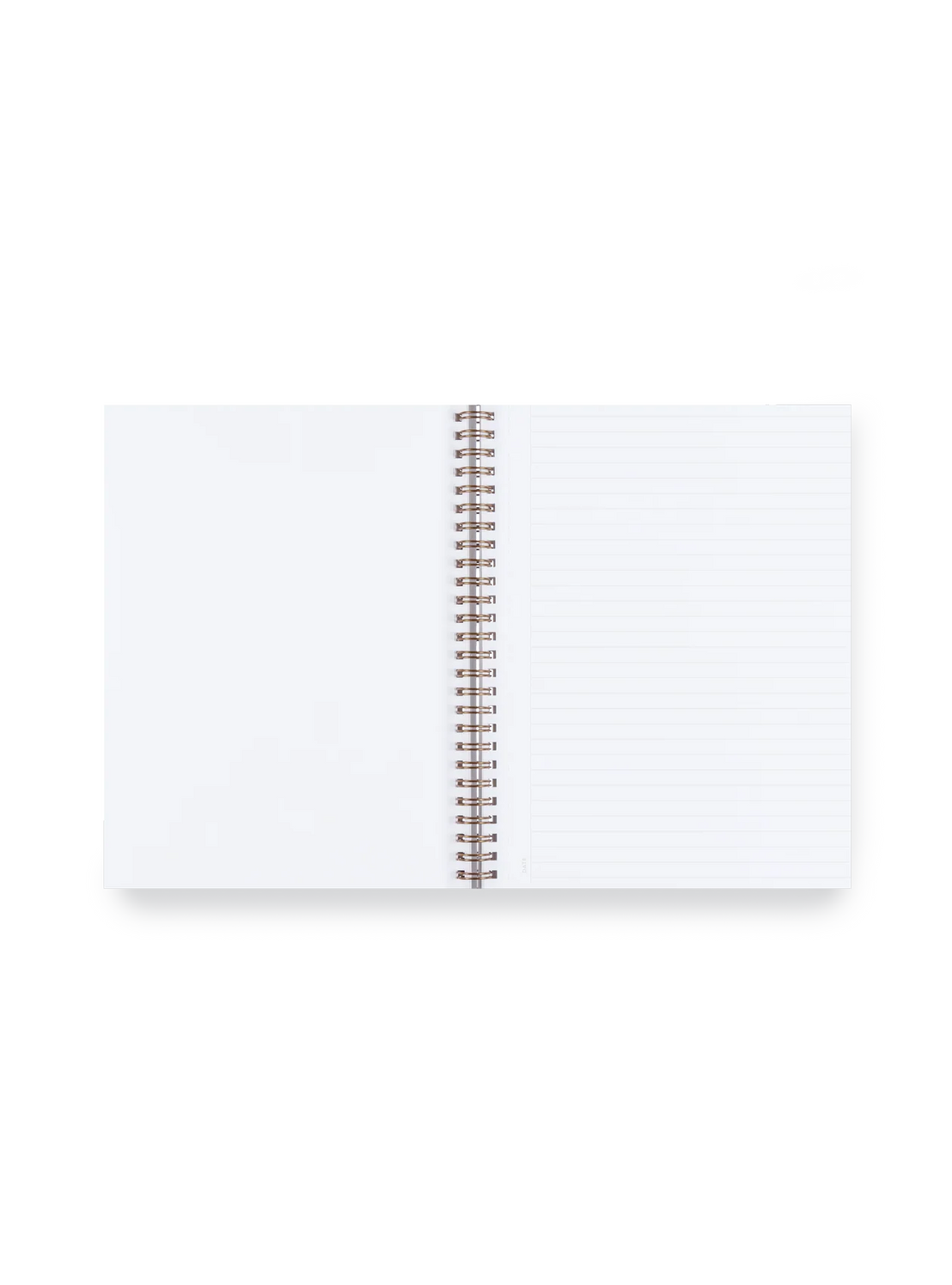 Appointed D.C. Workbook