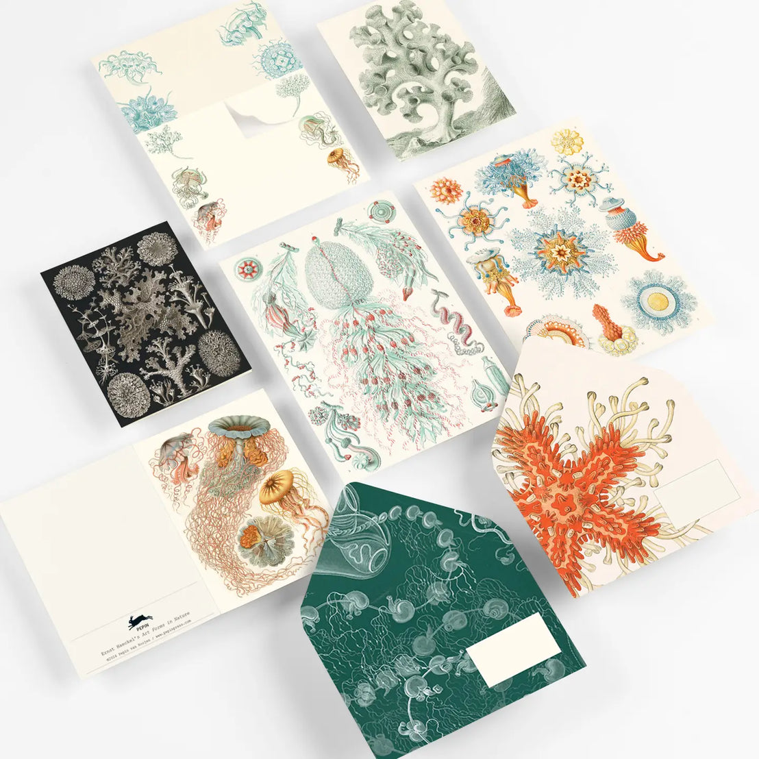 Art Forms in Nature Correspondence Set