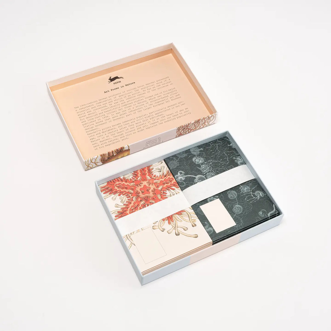 Art Forms in Nature Correspondence Set