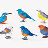 2027 Birds Desk Calendar