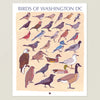 files/BirdsofWashingtonDcPostcard.webp