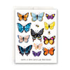 files/ButterflyBirthdayGreetingCard.webp