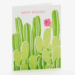 Cactus Birthday, Ilee Papergoods
