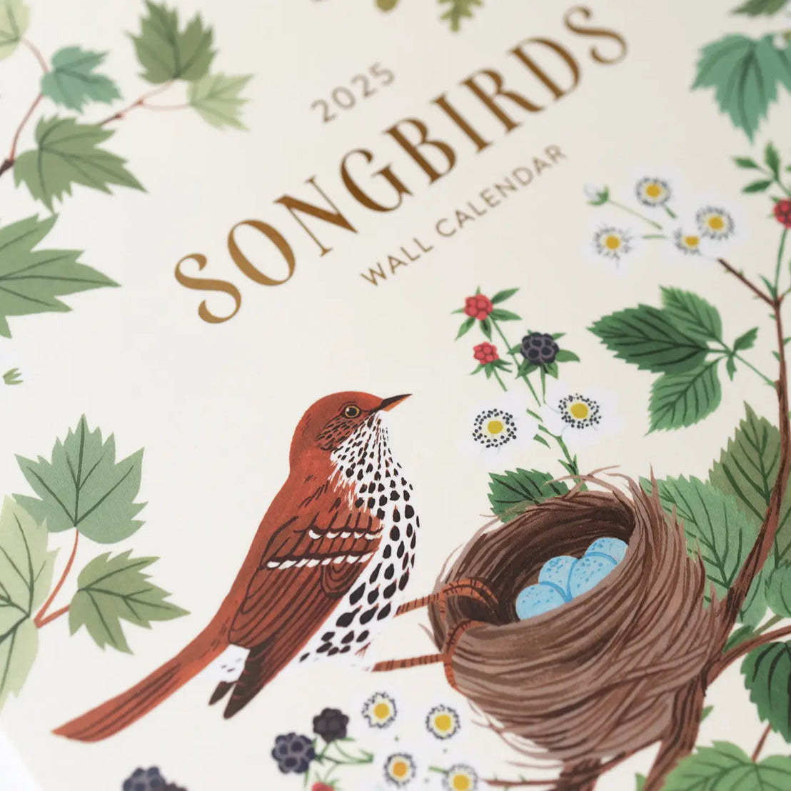 2025 Song Birds Wall Calendar