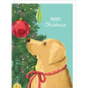 files/Dog_Ornament_Card.webp