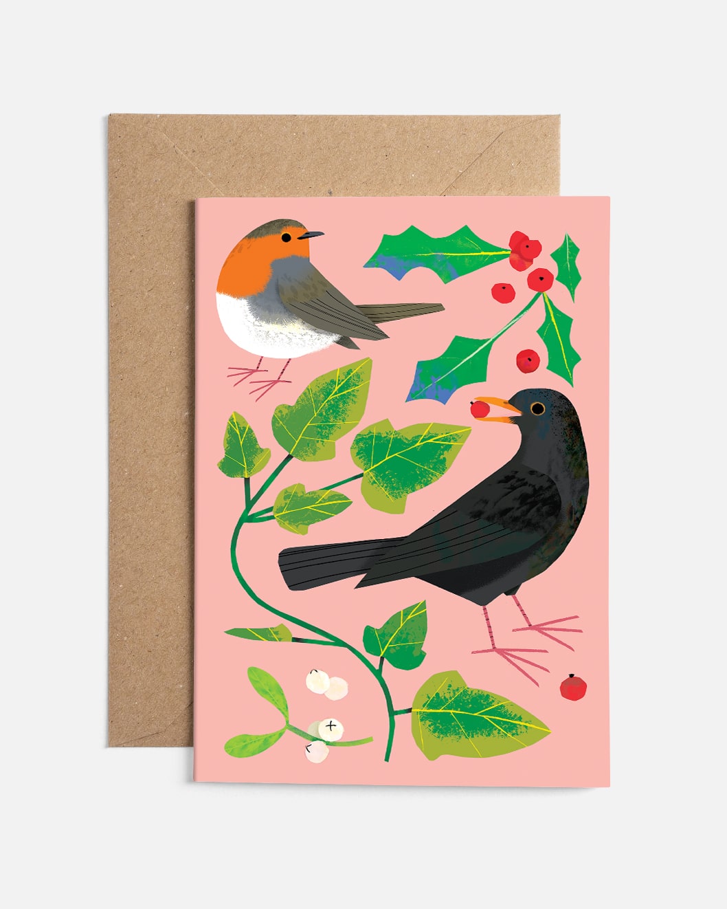 What to Look For Boxed Set, Sunny Beast