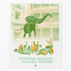 files/NationalMuseumofNaturalHistory_WashingtonDcPostcard.webp