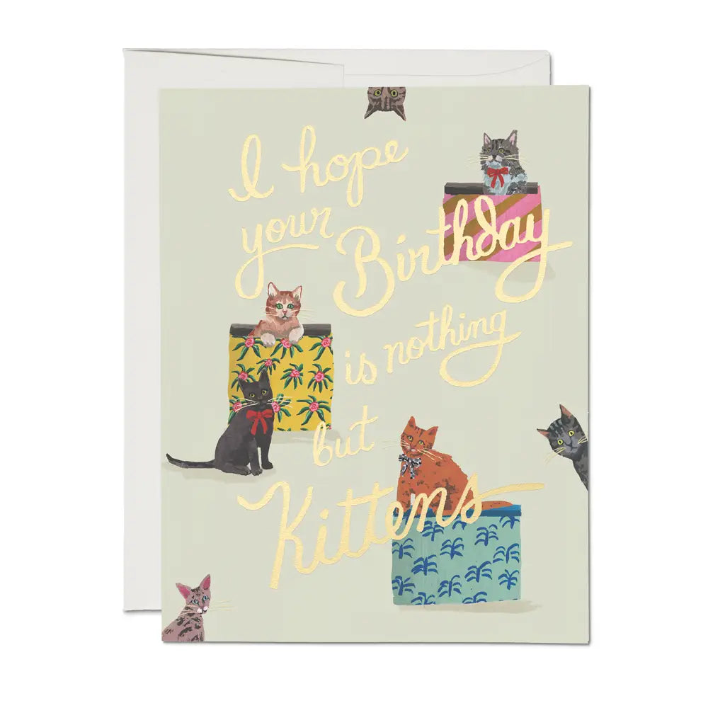 Nothing But Kittens Birthday, Red Cap Cards