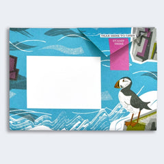 Safe Harbour Pigeon Pack