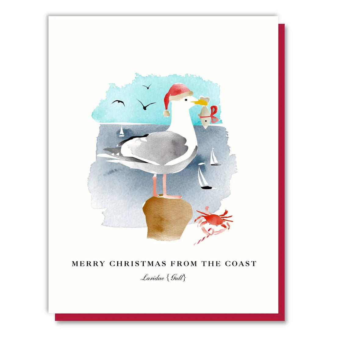 Christmas Seagull Boxed Set, Driscoll Design