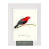 files/Songbirds--NoteSet-BirdThemedCards_FElix_Doolittle.webp