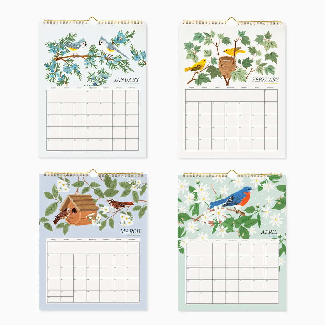 2025 Song Birds Wall Calendar