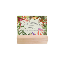 2025 Tillandsia Mini Desk Calendar