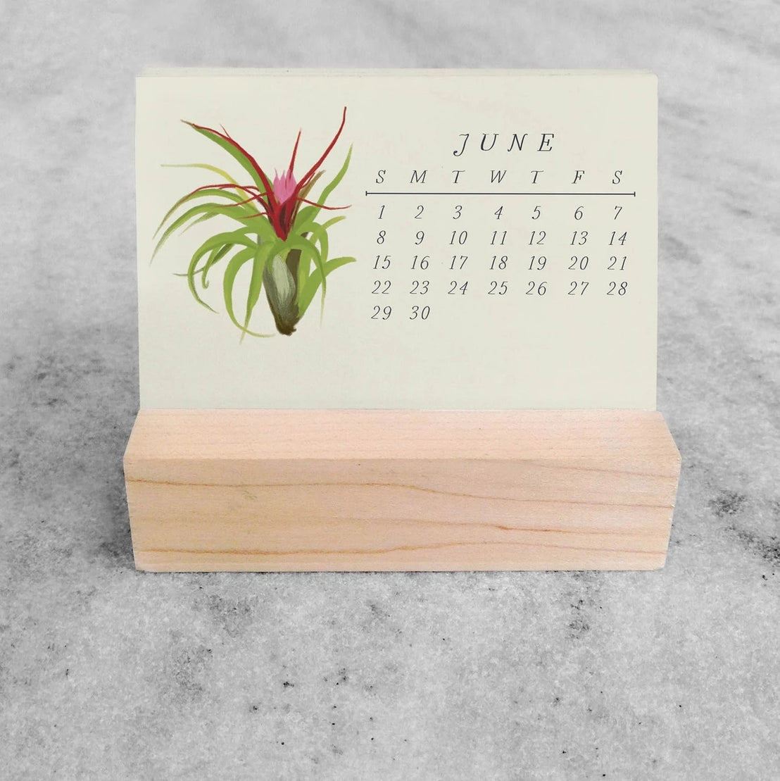 2025 Tillandsia Mini Desk Calendar