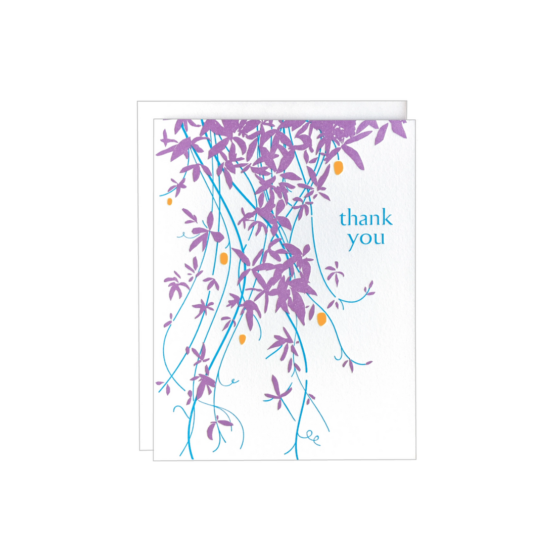 Vine Thank You, Navy Midnight Press