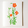 files/Wild_Flowers_BoxedSet.webp