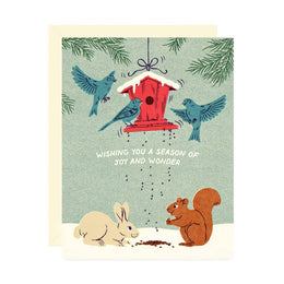 Joy & Wonder Birdfeeder Boxed Set, Wallflower Paper