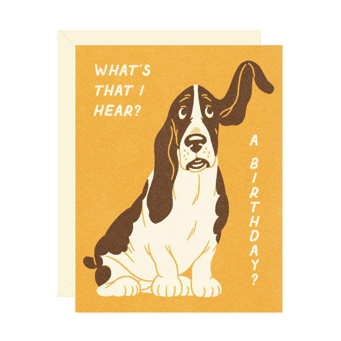 Basset Hound Birthday, Wallflower Paper