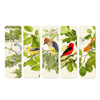 files/birdsong-bookmarks-set.png