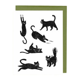 Black Cats, Hey Sooj