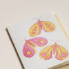 Moth Box Notecards