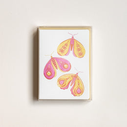 Moth Box Notecards