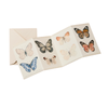 files/butterfly.png