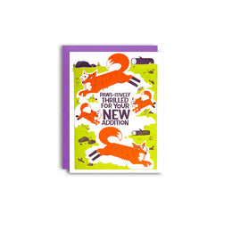 Fox Family New Addition, Pier Six Press